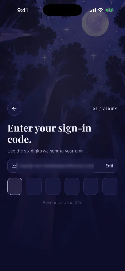 The code step: six boxes for the code from the email, the countdown and Resend under them.