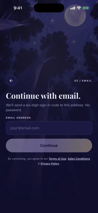 The email step: a box for your email address and the Continue button.