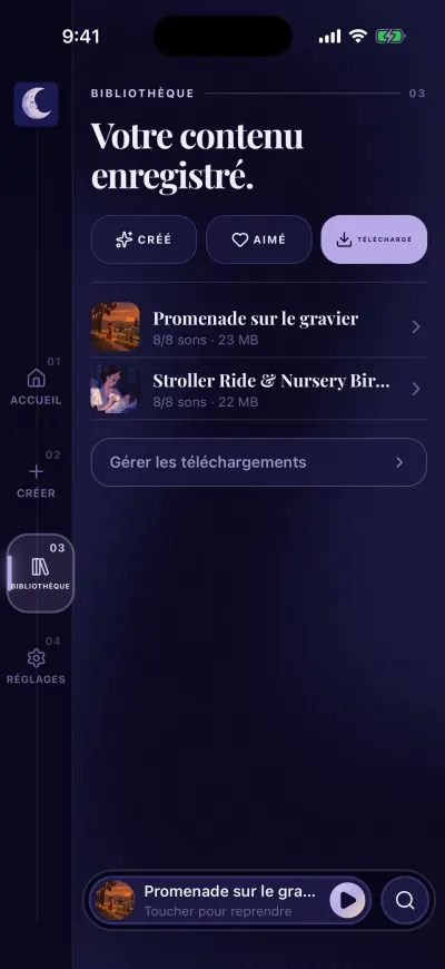 La Bibliothèque sur Téléchargé : deux mix téléchargés avec leur taille, et le bouton Gérer les téléchargements.